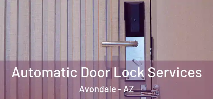 Automatic Door Lock Services Avondale - AZ