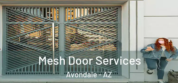 Mesh Door Services Avondale - AZ
